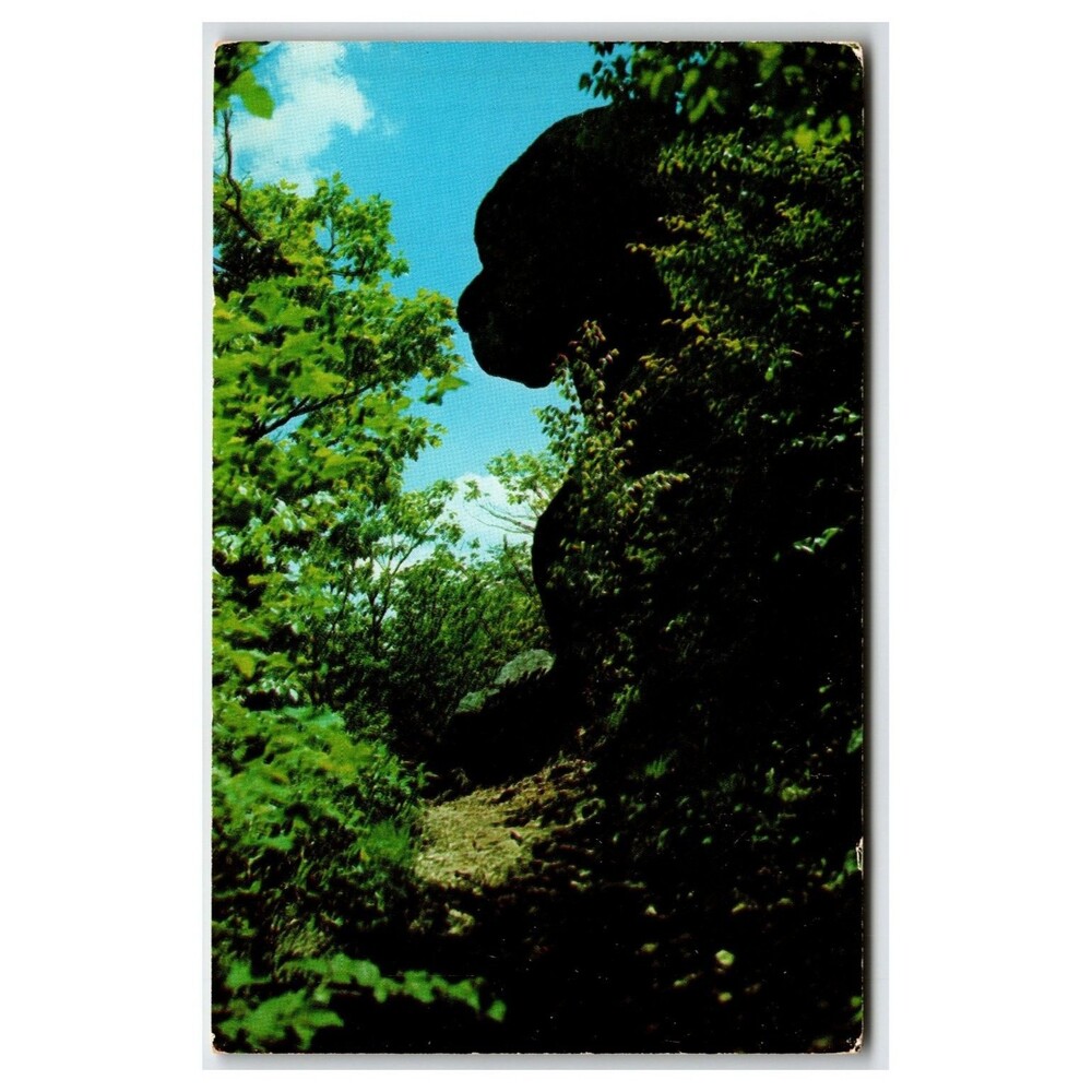 Dog Face Rock Peaks of Otter Blue Ridge Parkway VA Postcard Joyce Haynes Photo
